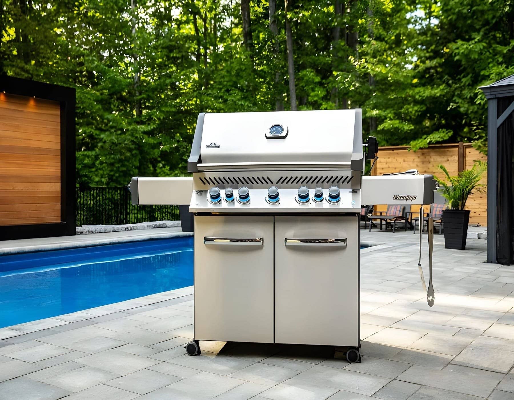 Napoleon Barbecue a Gas Prestige P665RSIB Napoleon Barbecue a Gas Prestige P665RSIB